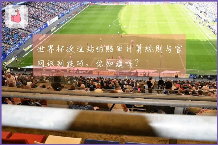世界杯投注站的赔率计算规则与官网识别技巧，你知道吗？