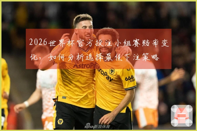 2026世界杯官方投注小组赛赔率变化，如何分析选择最佳下注策略
