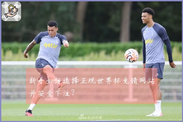 新手如何选择正规世界杯竞猜网站并安全下注？