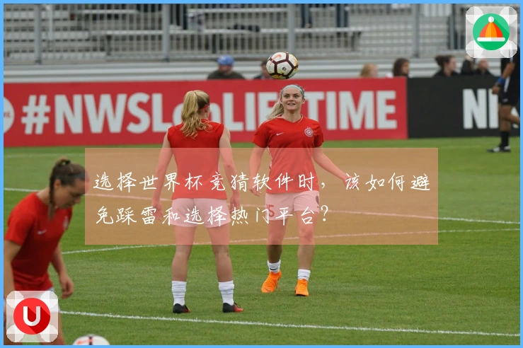 选择世界杯竞猜软件时，该如何避免踩雷和选择热门平台？