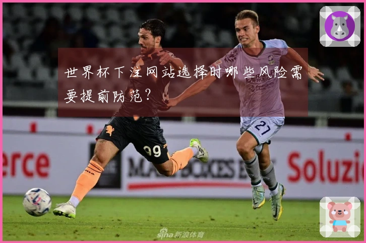 世界杯下注网站选择时哪些风险需要提前防范?