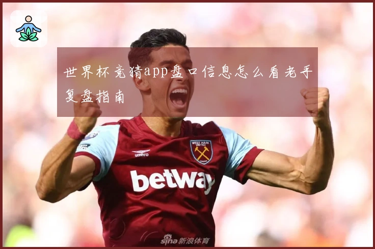 世界杯竞猜app盘口信息怎么看老手复盘指南
