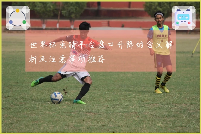 世界杯竞猜平台盘口升降的含义解析及注意事项推荐