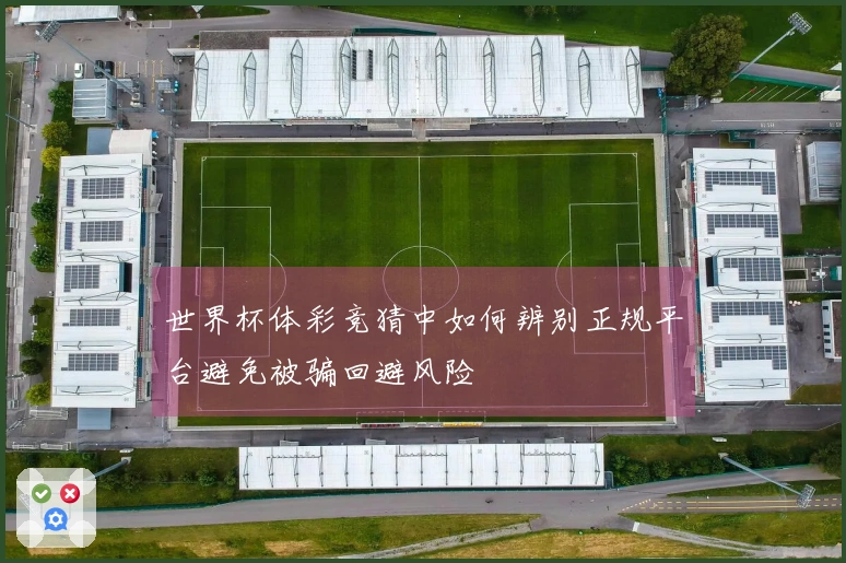 世界杯体彩竞猜中如何辨别正规平台避免被骗回避风险