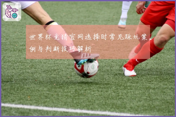 世界杯竞猜官网选择时常见踩坑案例与判断技巧解析