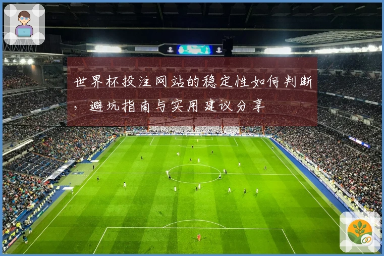 世界杯投注网站的稳定性如何判断，避坑指南与实用建议分享