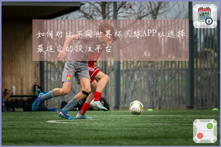 如何对比不同世界杯买球APP以选择最适合的投注平台