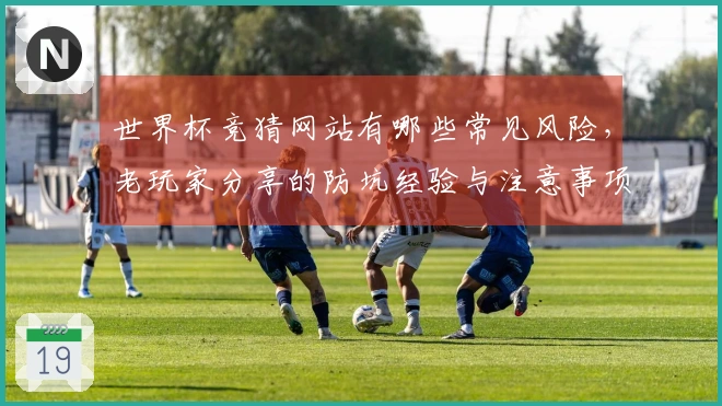 世界杯竞猜网站有哪些常见风险，老玩家分享的防坑经验与注意事项