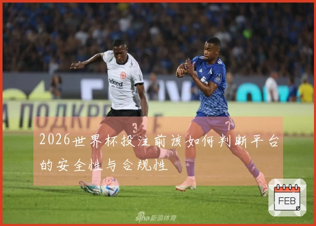 2026世界杯投注前该如何判断平台的安全性与合规性