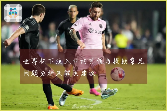 世界杯下注入口的充值与提款常见问题分析及解决建议