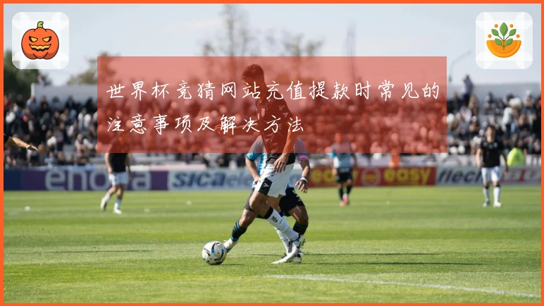 世界杯竞猜网站充值提款时常见的注意事项及解决方法