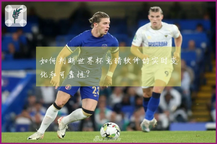 如何判断世界杯竞猜软件的实时变化和可靠性？