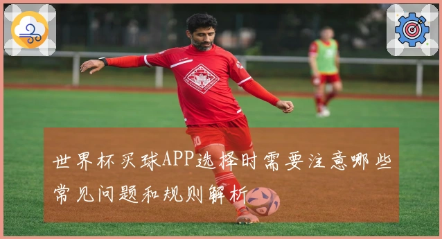 世界杯买球APP选择时需要注意哪些常见问题和规则解析
