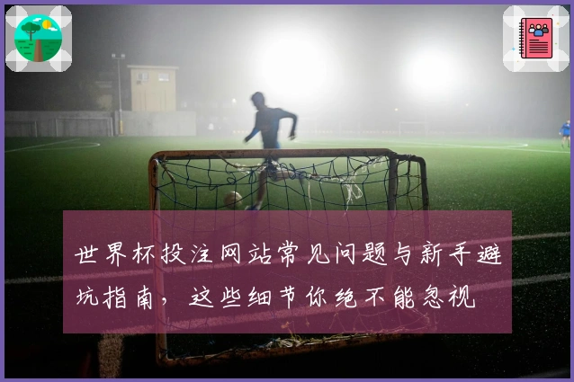 世界杯投注网站常见问题与新手避坑指南，这些细节你绝不能忽视