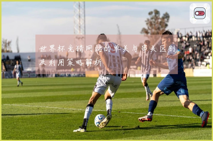 世界杯竞猜网站的单关与串关区别及利用策略解析