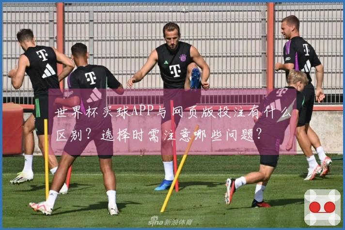 世界杯买球APP与网页版投注有什么区别？选择时需注意哪些问题？